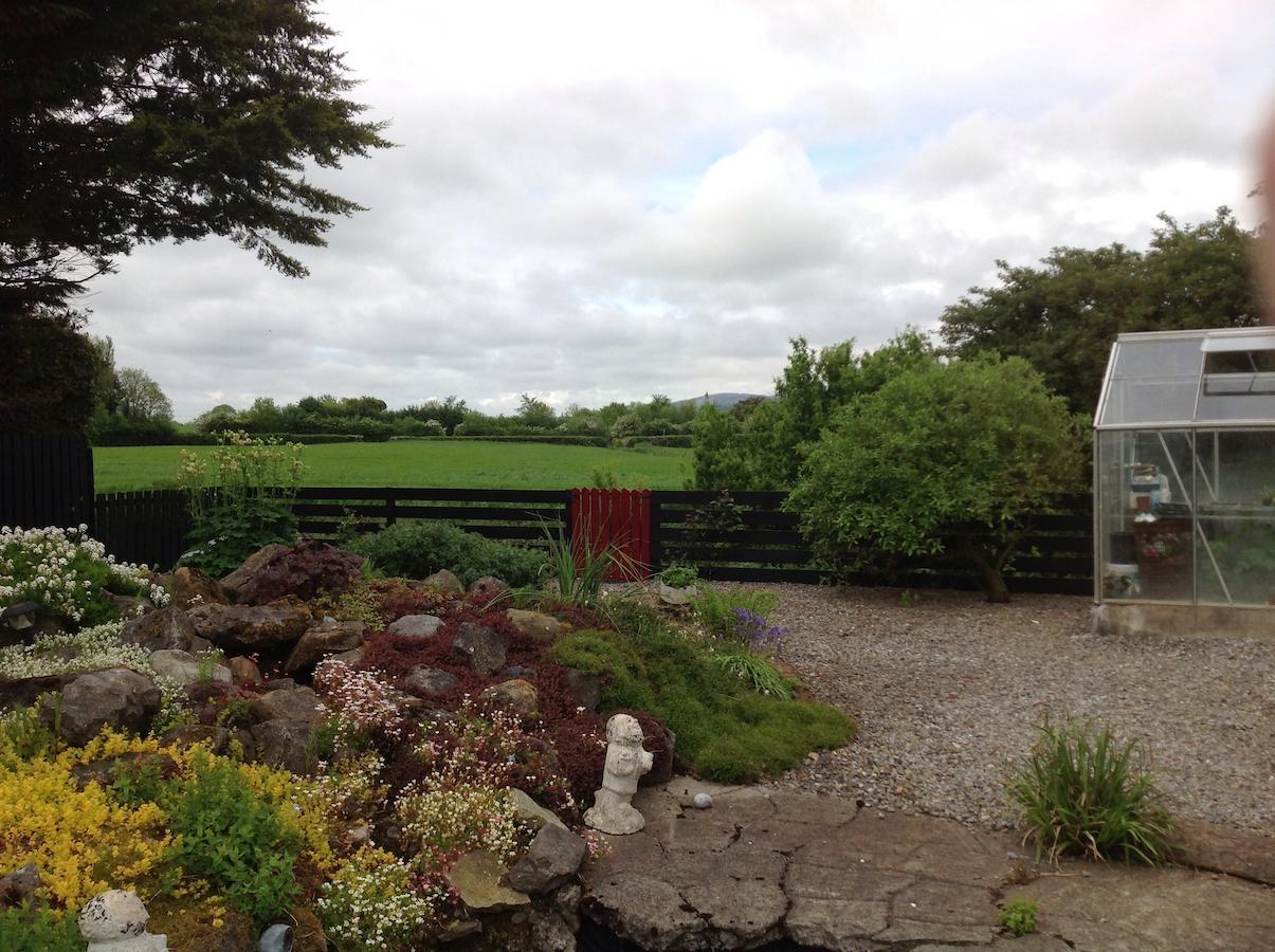 Barrow View Accommodation Mountmellick Exterior photo